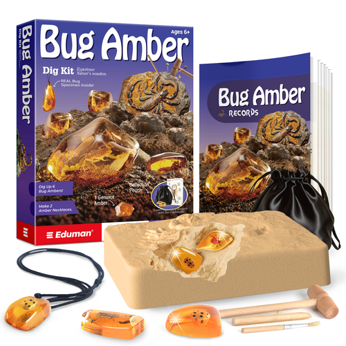 Bug Amber Dig Kit