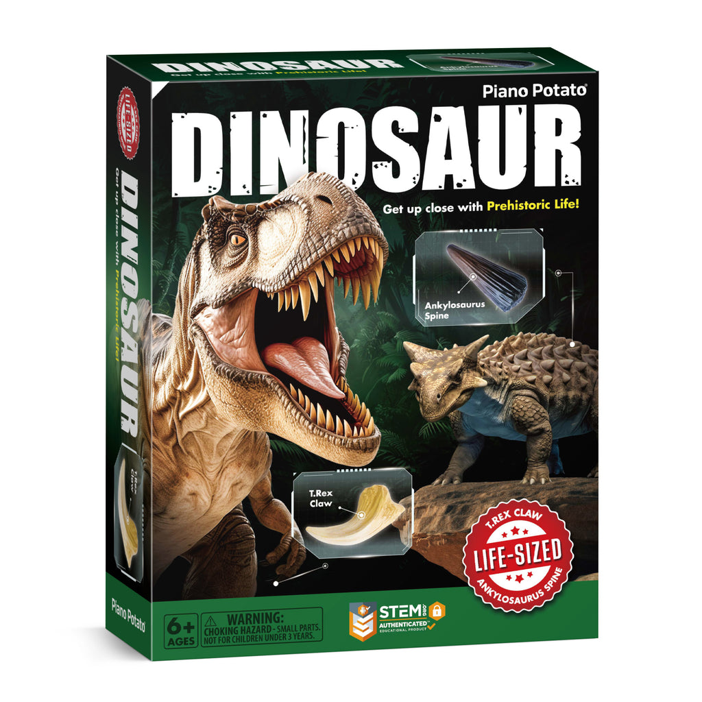 Piano Potato Life-Size T. Rex Dinosaur Dig Kit – Prehistoric Claw & Spine Excavation Set