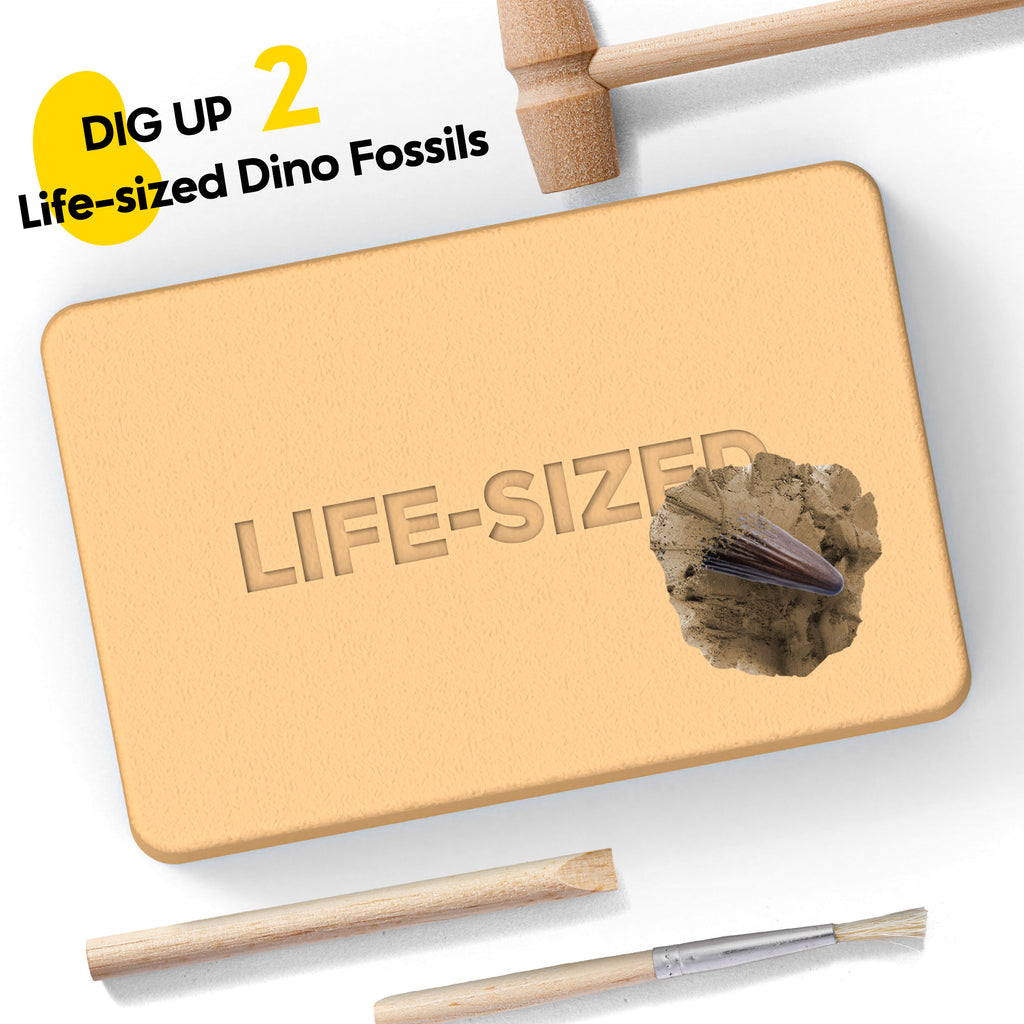 Piano Potato Life-Size T. Rex Dinosaur Dig Kit – Prehistoric Claw & Spine Excavation Set