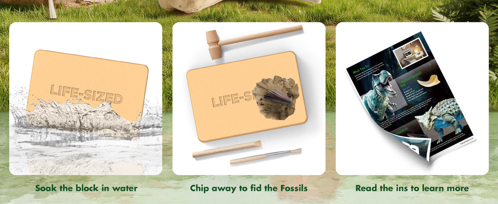 Piano Potato Life-Size T. Rex Dinosaur Dig Kit – Prehistoric Claw & Spine Excavation Set
