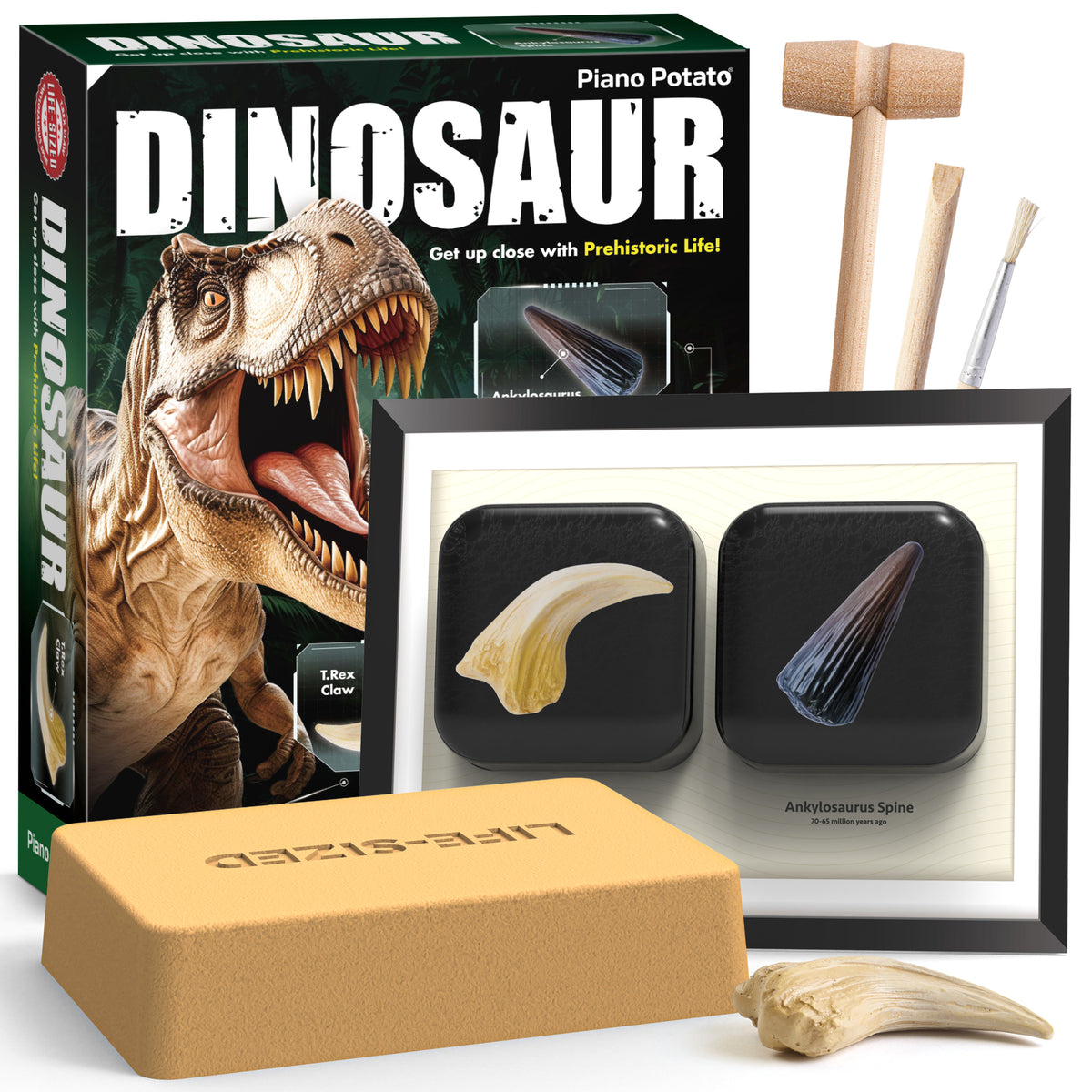 Piano Potato Life-Size T. Rex Dinosaur Dig Kit – Prehistoric Claw & Spine Excavation Set