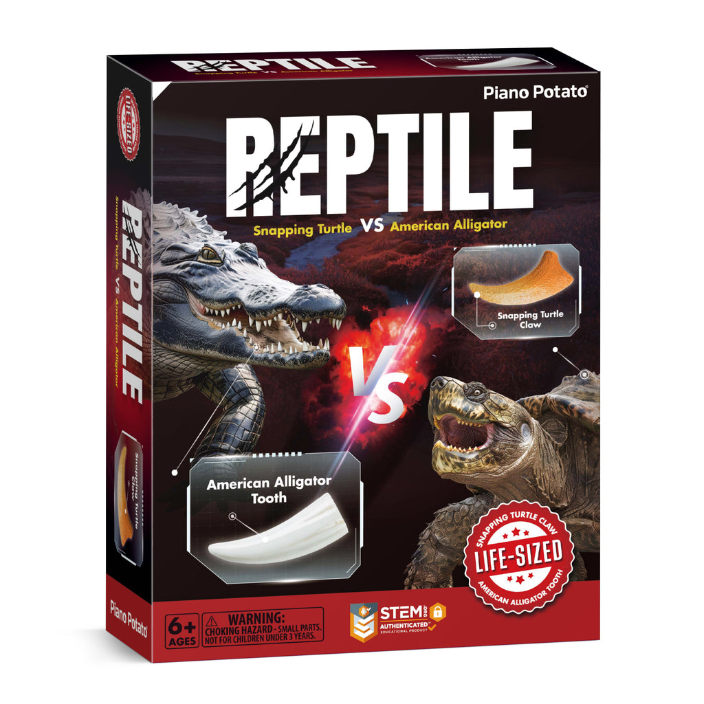Reptile Dig Kit for Kids – Excavate Life-Sized American Alligator Tooth & Snapping Turtle Claw – STEM Science Educational Toy, Paleontology Activity Set with Display Frame, Ages 6+