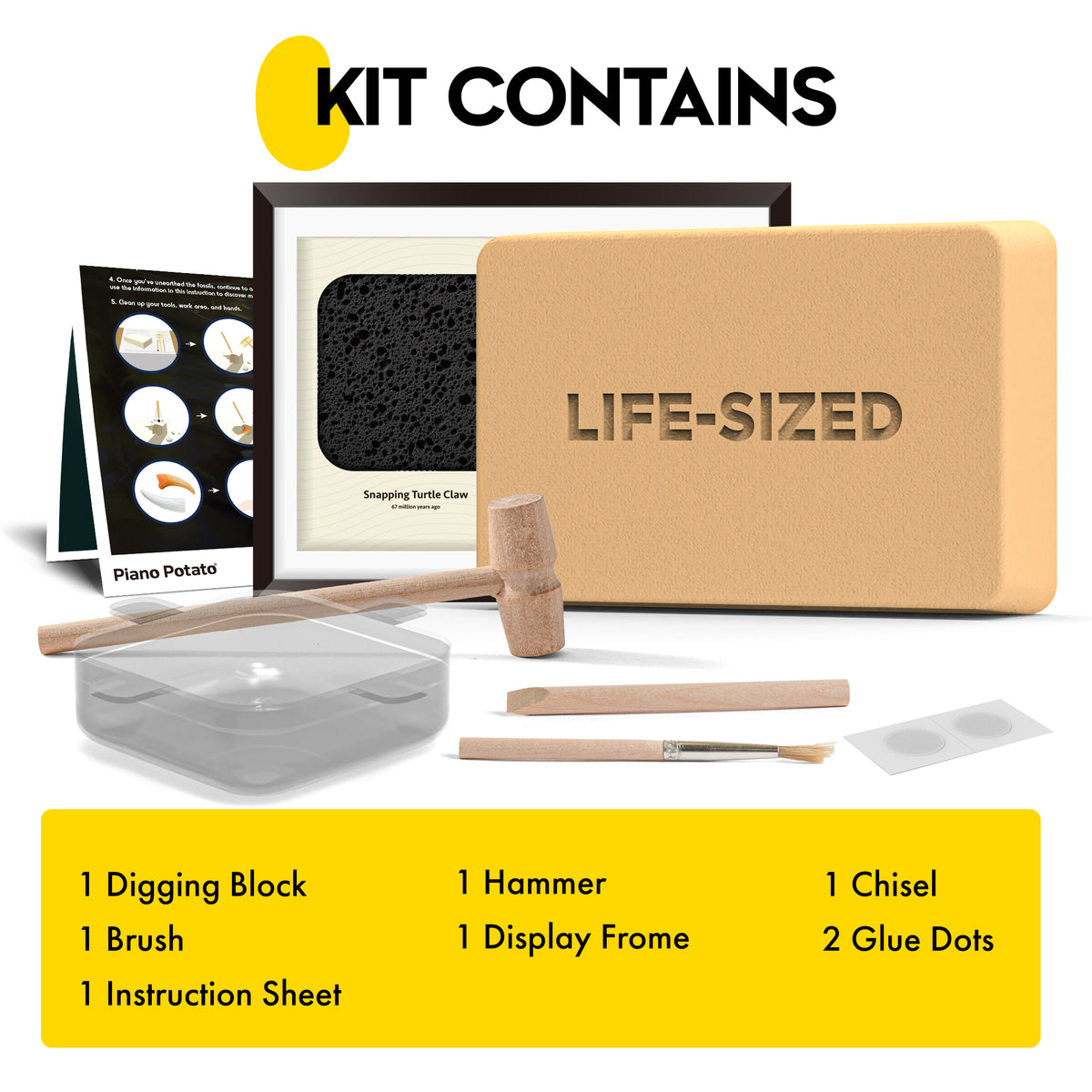 Reptile Dig Kit for Kids – Excavate Life-Sized American Alligator Tooth & Snapping Turtle Claw – STEM Science Educational Toy, Paleontology Activity Set with Display Frame, Ages 6+