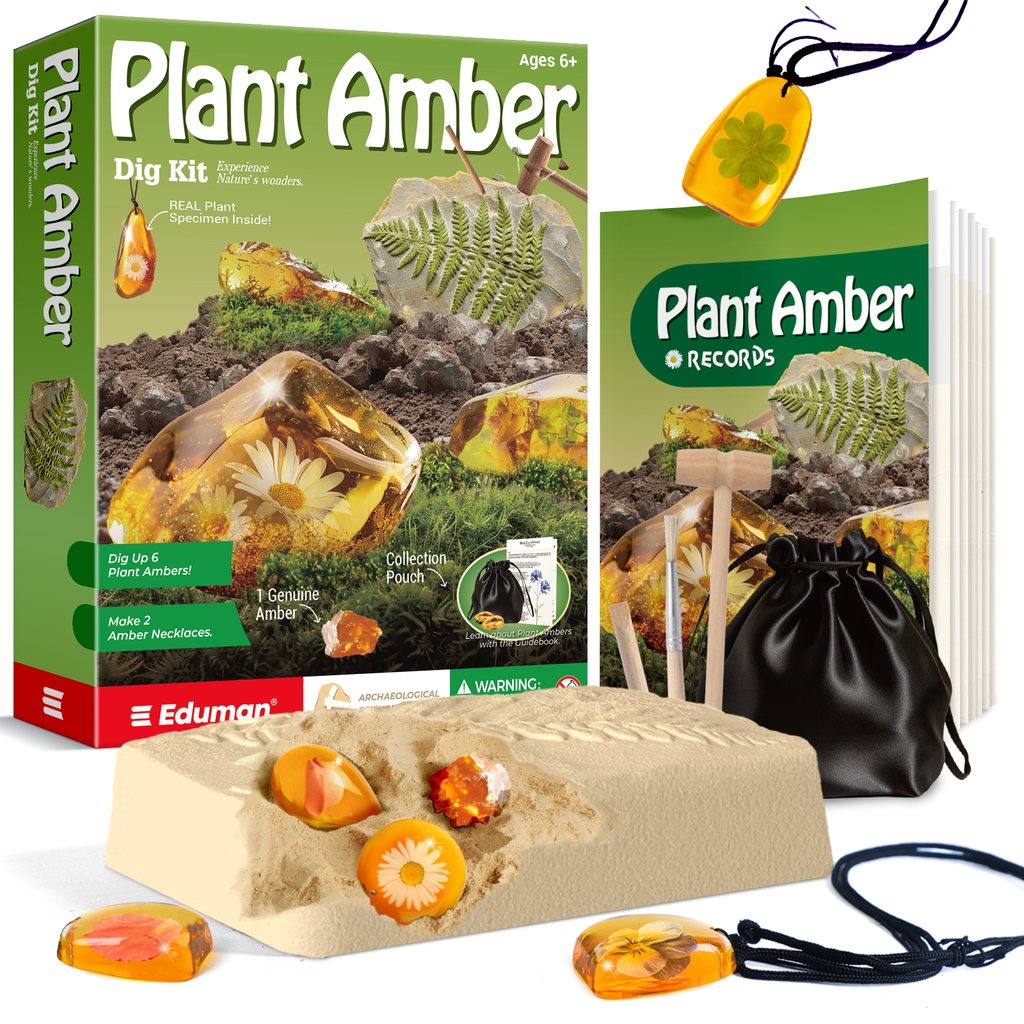 Plant Amber Dig Kit