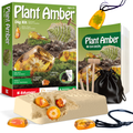 Plant Amber Dig Kit