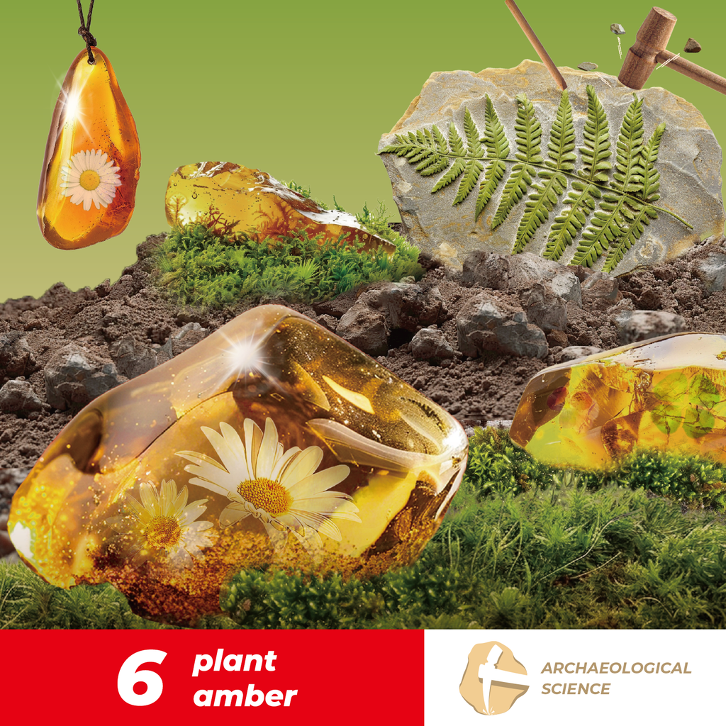 Plant Amber Dig Kit