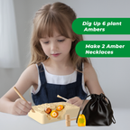 Plant Amber Dig Kit