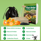 Plant Amber Dig Kit