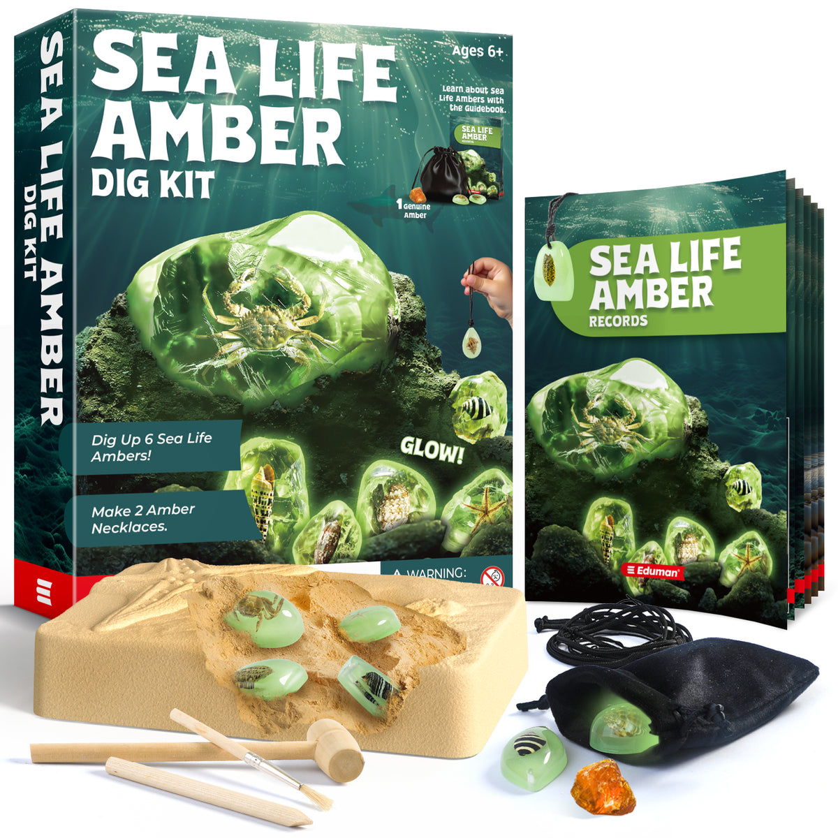 EDUMAN Amber Dig Kit-6 Artificial Sea Life Resin Specimens, Glow in The Dark Oceanlife Fossil Excavation Set, STEM Inspired Educational Toy for Kids Ages 6-12, for Boys & Girls
