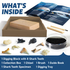 EGGBOX Shark Tooth Dig Kit Excavate 8 Shark Fossils Including Great White, Angel, Bullhead, Longnose, Sand Tiger Shark and so on. Great Science Gift for Marine Biology Enthusiasts of Any Age