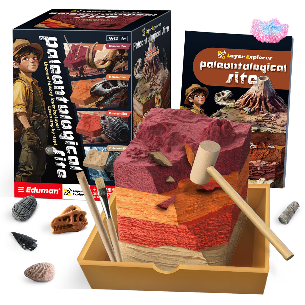 Paleontological Site Layer Explorer Dig Kit