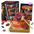 Paleontological Site Layer Explorer Dig Kit