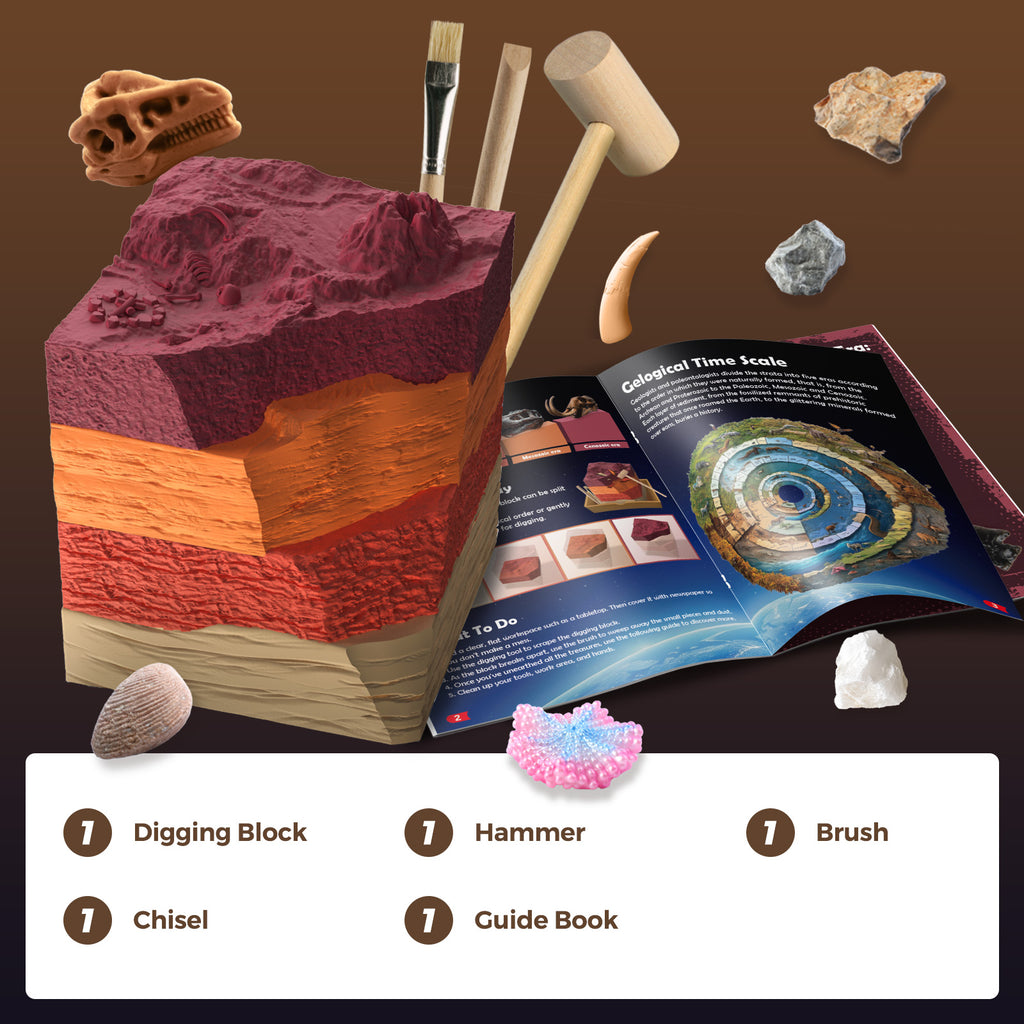 Paleontological Site Layer Explorer Dig Kit