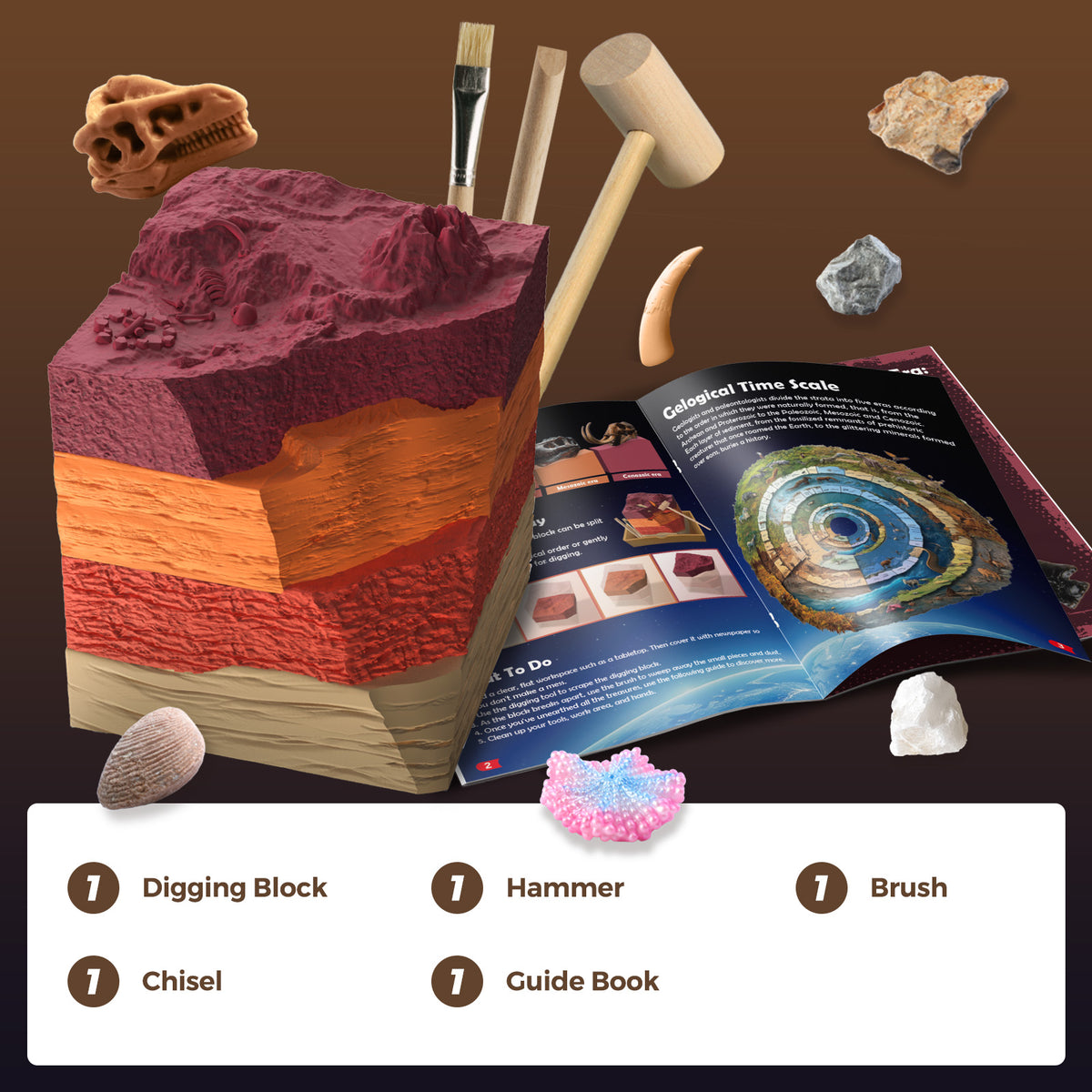 Paleontological Site Layer Explorer Dig Kit