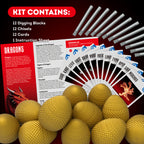 Dragon Egg Dig Kit – 12 Dragons