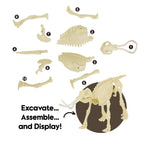 Woolly Mammoth Excavation & Build Kit
