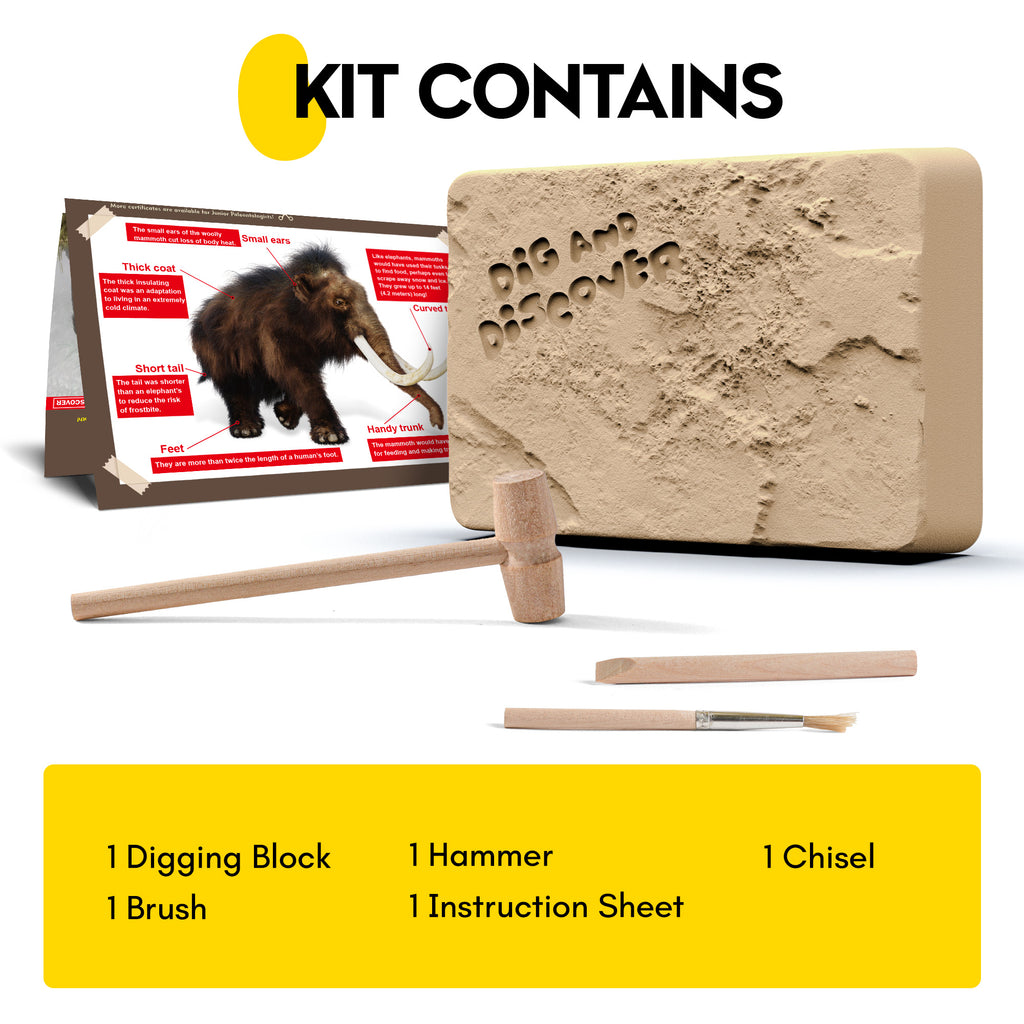 Woolly Mammoth Excavation & Build Kit