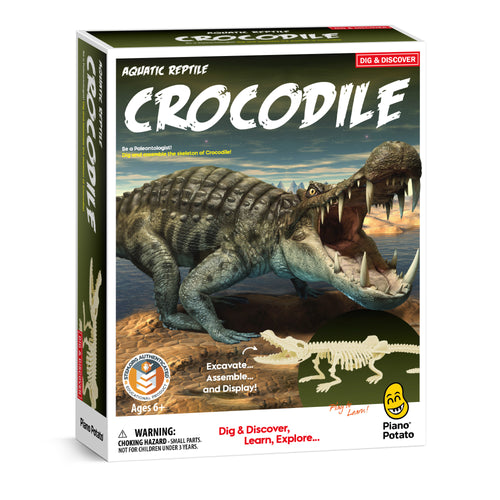 Crocodile Excavation & Build Kit