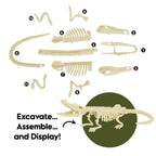 Crocodile Excavation & Build Kit