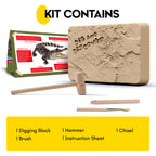 Crocodile Excavation & Build Kit