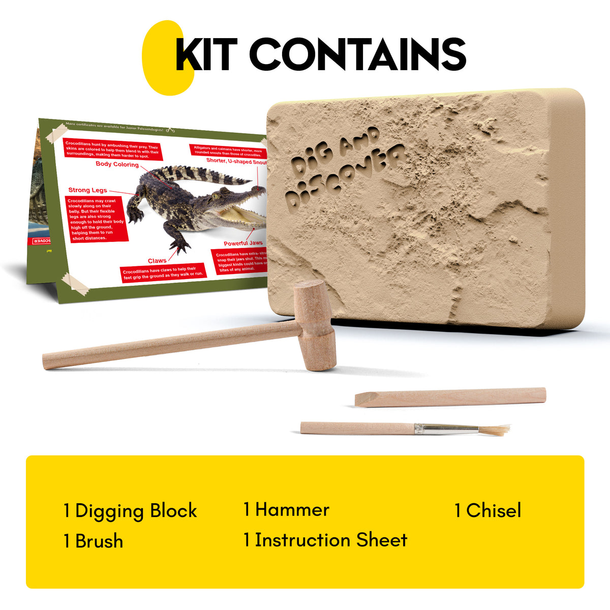 Crocodile Excavation & Build Kit
