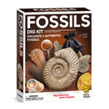 Authentic Fossils Dig Kit