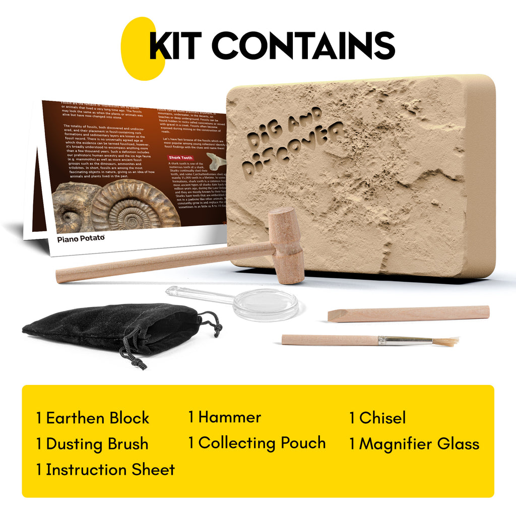 Authentic Fossils Dig Kit