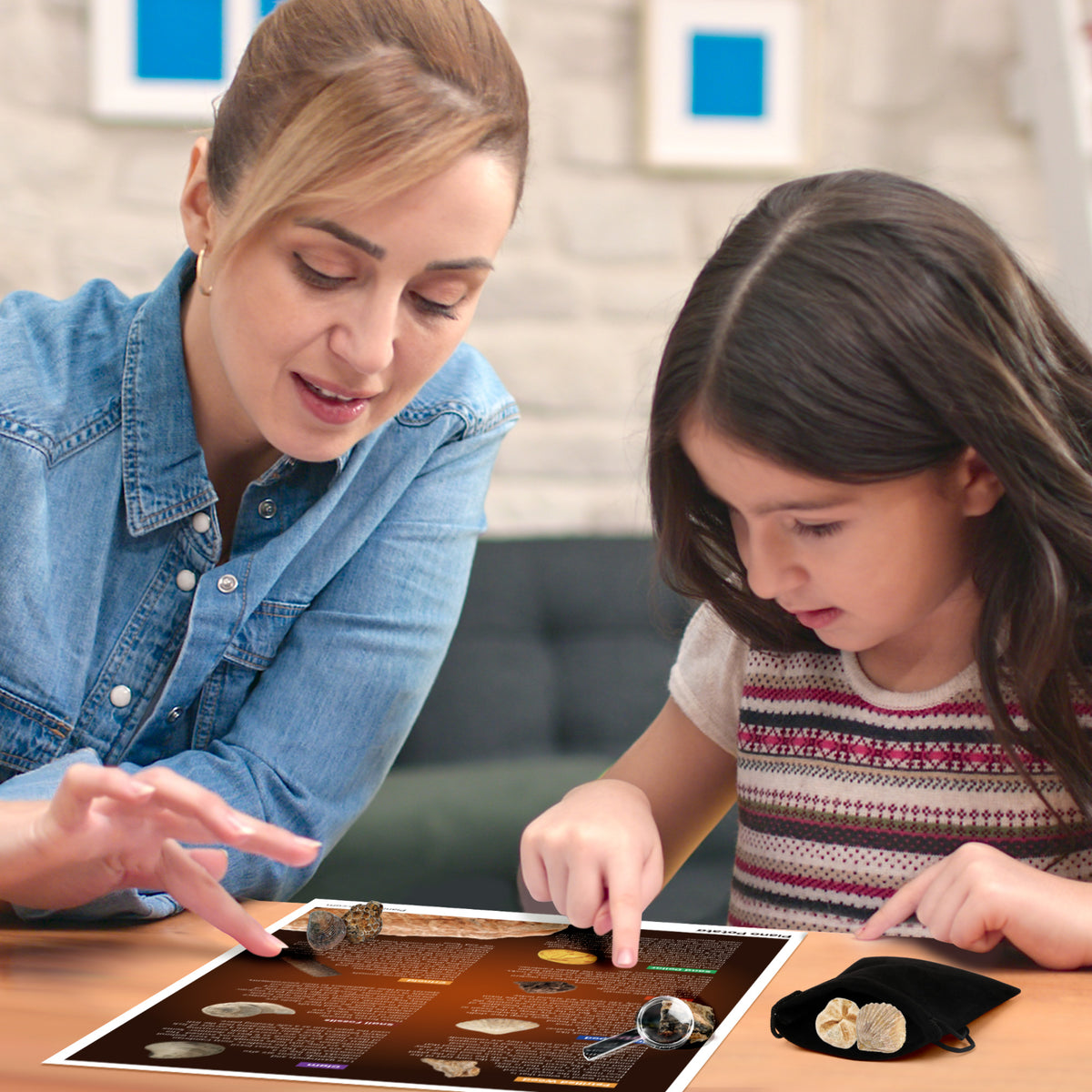 Authentic Fossils Dig Kit