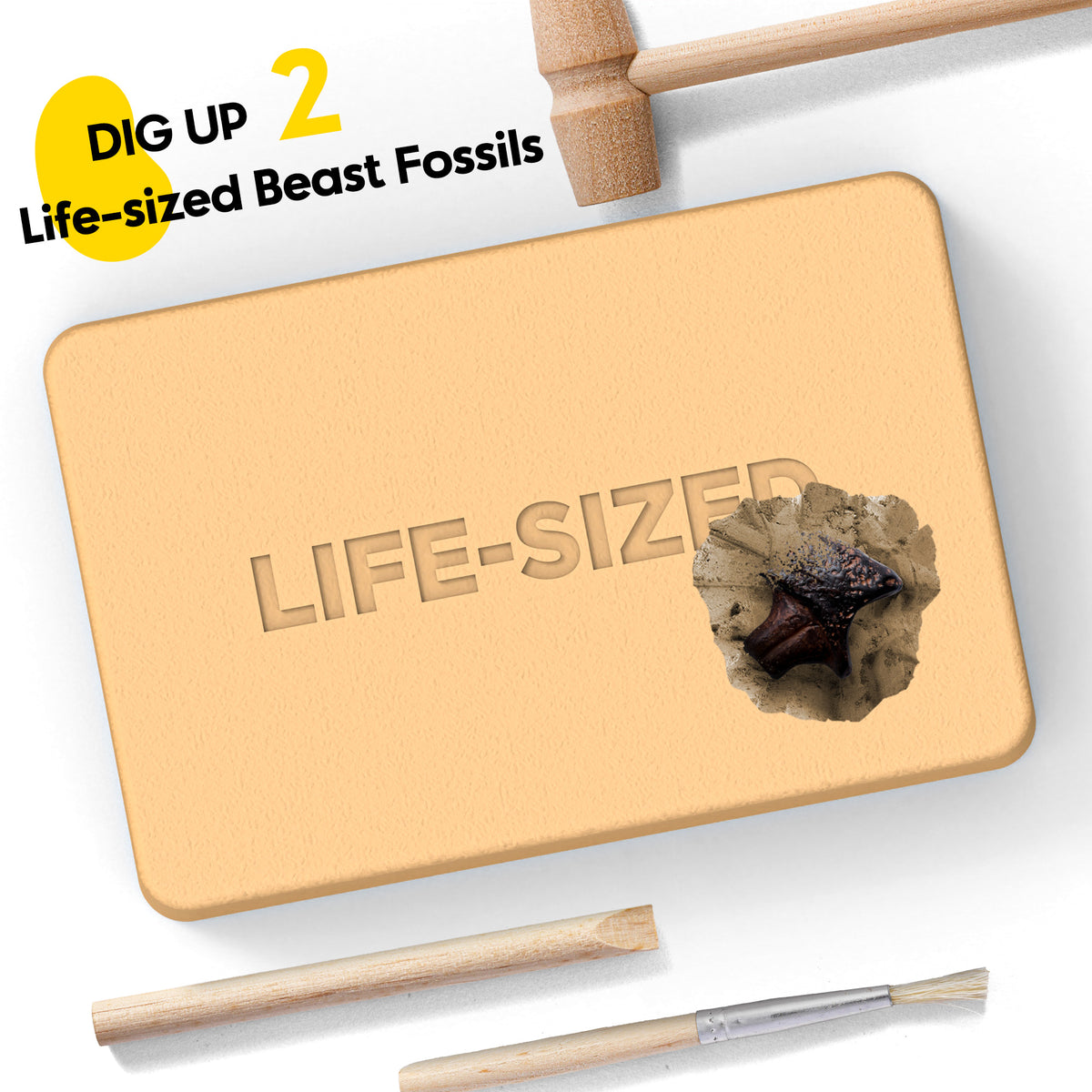Piano Potato Beast Predator Kit – Life-Size Wolf & Eagle Claws