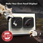 Piano Potato Beast Predator Kit – Life-Size Wolf & Eagle Claws