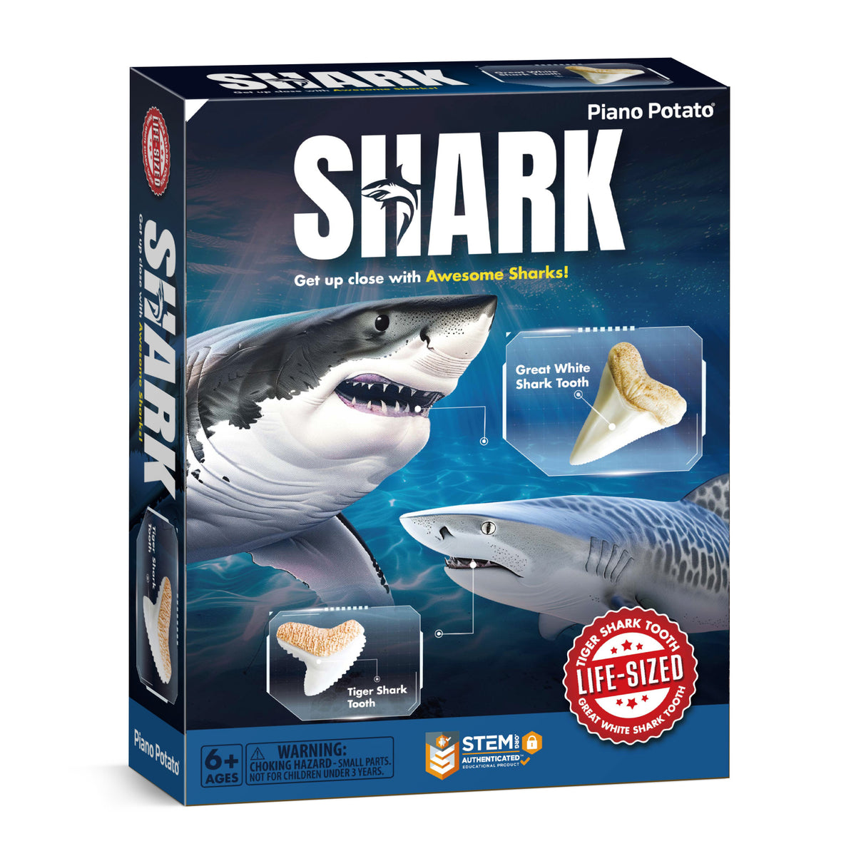Piano Potato Shark Tooth Dig Kit – Great White & Tiger Shark STEM Set
