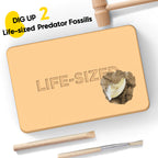 Piano Potato Predator Tiger vs Crocodile – Life-Size Claw & Tooth STEM Kit