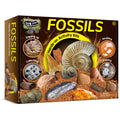Fossils Hands-On Activity Kit – Dig, Collect, Mold & Paint