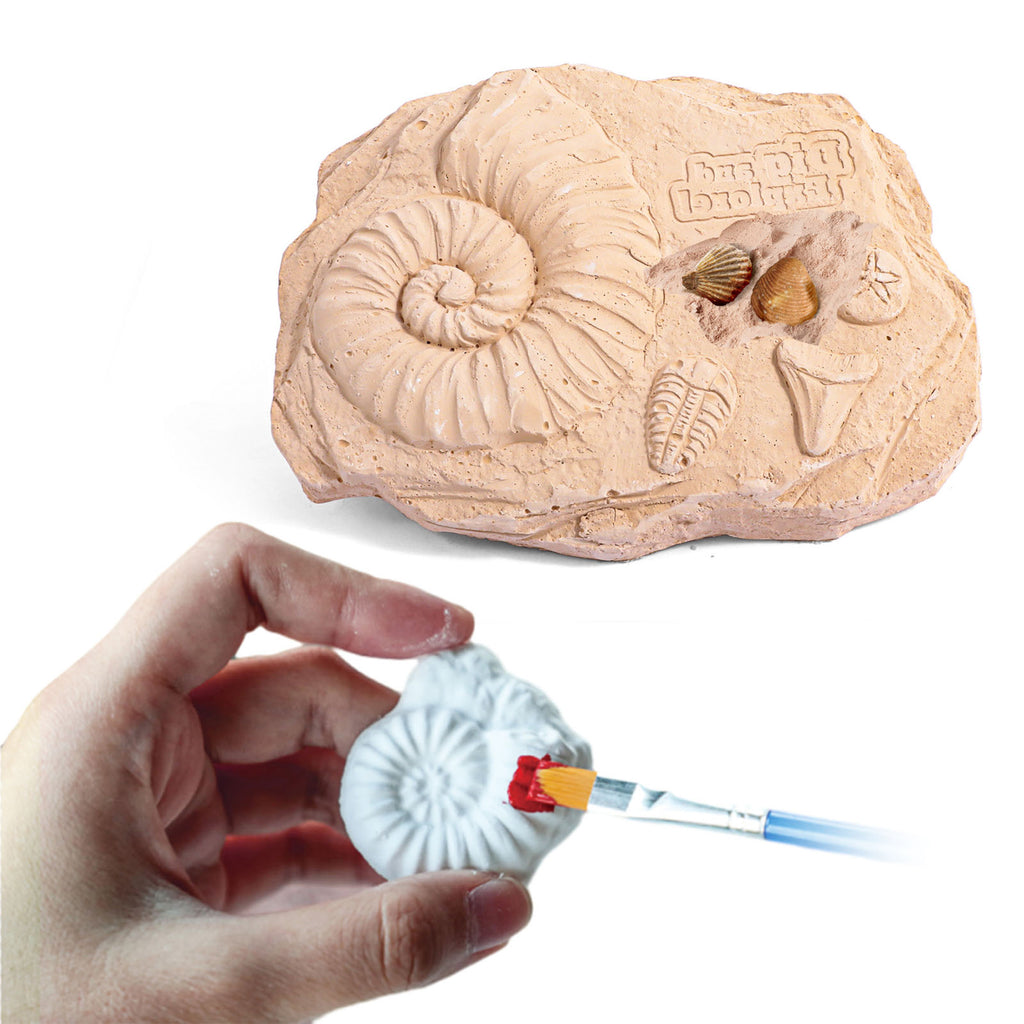 Fossils Hands-On Activity Kit – Dig, Collect, Mold & Paint