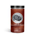 Piano Potato I Can Be a Paleontologist – Authentic Fossils Excavation Kit