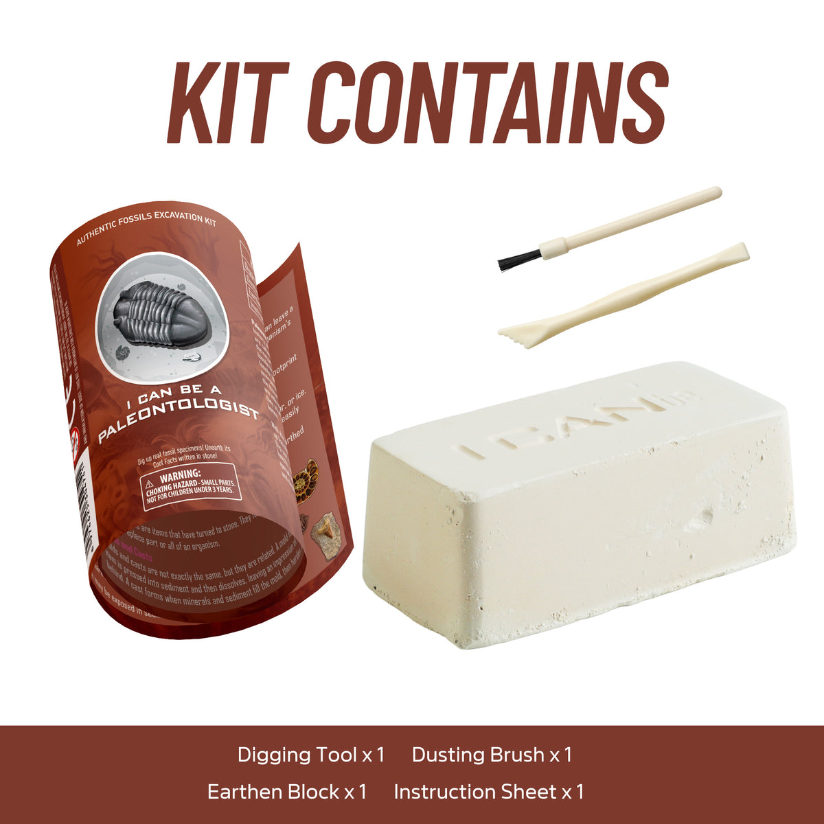 Piano Potato I Can Be a Paleontologist – Authentic Fossils Excavation Kit