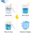 Piano Potato Crystal Growing Kit – Blue Crystal