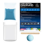 Piano Potato Crystal Growing Kit – Blue Crystal