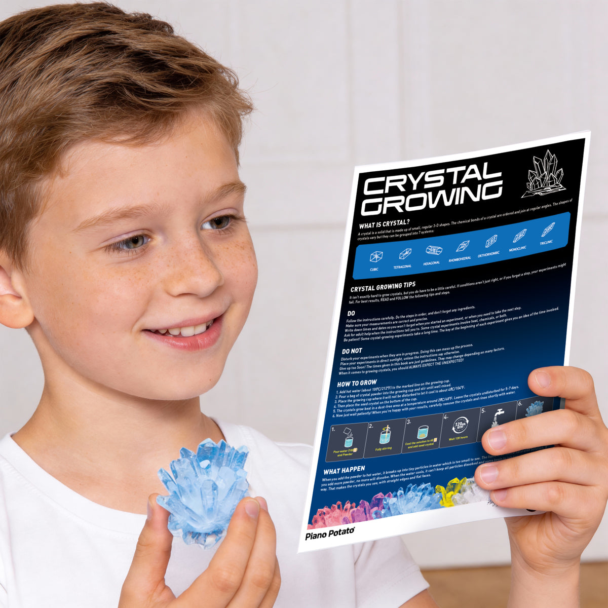 Piano Potato Crystal Growing Kit – Blue Crystal