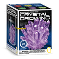 Piano Potato Fast Crystal Growing Kit – Purple Crystal