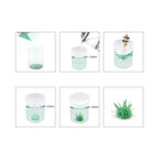 Piano Potato Crystal Growing Kit – Green Crystal