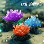 Crystal Growing Lab – Grow 6 Colorful Crystals