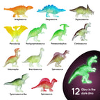 12 Sensory Dino Eggs, 4 Squeeze Materials, Glow in Dark 6+