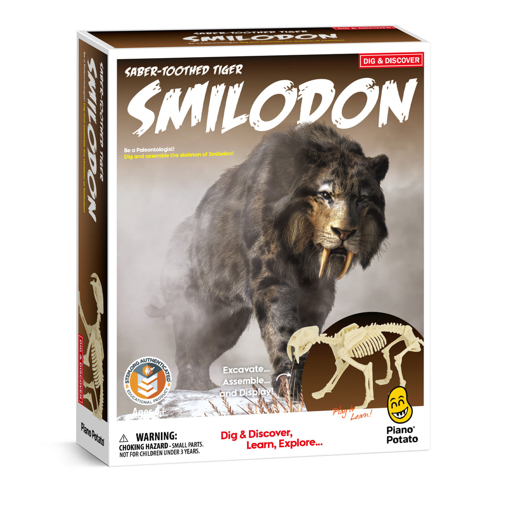 Piano Potato Smilodon Saber-Toothed Tiger Dig Kit – Excavate & Assemble Skeleton