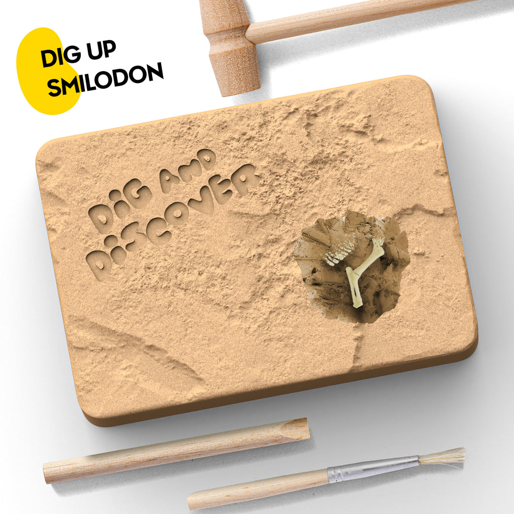 Piano Potato Smilodon Saber-Toothed Tiger Dig Kit – Excavate & Assemble Skeleton