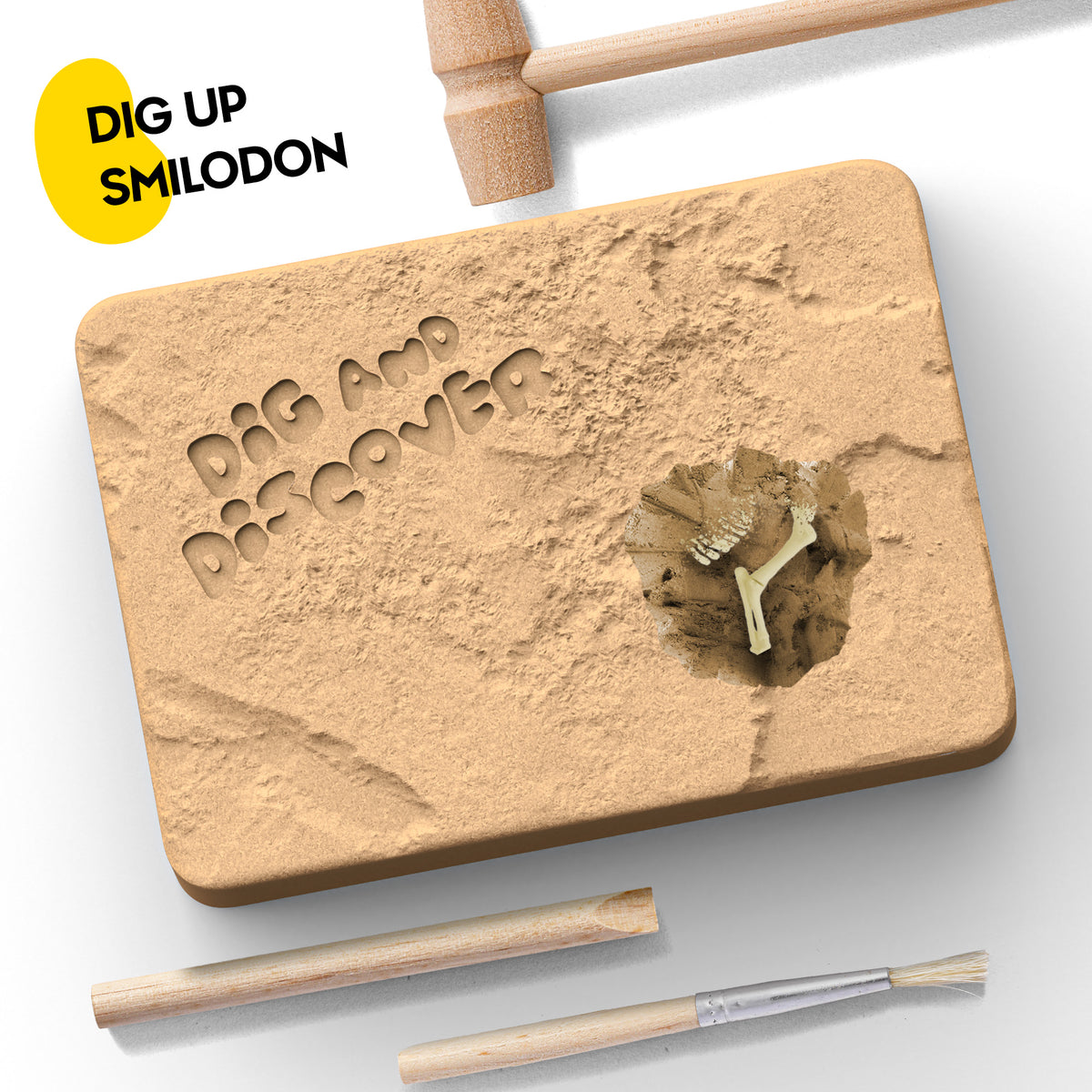 Piano Potato Smilodon Saber-Toothed Tiger Dig Kit – Excavate & Assemble Skeleton
