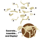 Piano Potato Smilodon Saber-Toothed Tiger Dig Kit – Excavate & Assemble Skeleton