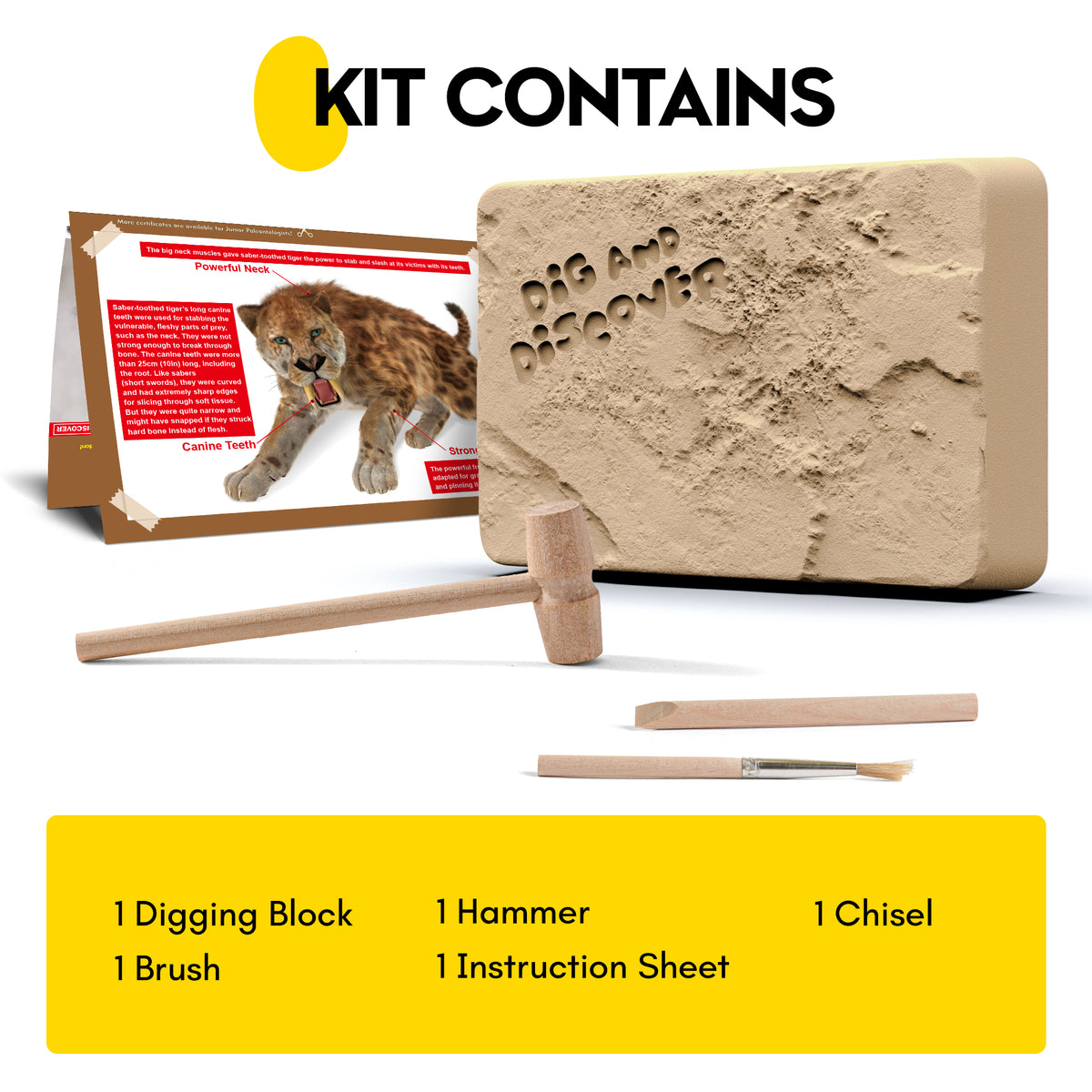 Piano Potato Smilodon Saber-Toothed Tiger Dig Kit – Excavate & Assemble Skeleton