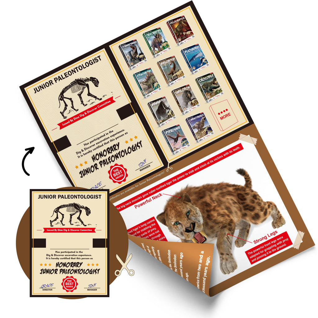 Piano Potato Smilodon Saber-Toothed Tiger Dig Kit – Excavate & Assemble Skeleton