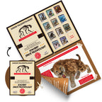 Piano Potato Smilodon Saber-Toothed Tiger Dig Kit – Excavate & Assemble Skeleton